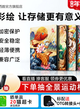 WD西部数据移动硬盘4tb电脑笔记本手机西数4t彩绘定制加密