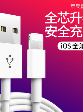 适用iPhone13数据线11苹果12充电线15器6手机XS快充X加长XR单头8p短iPad平板6s闪充ios冲PD2米Max正ip品7plus
