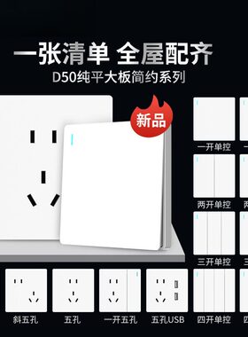 国际电工开关 86型暗装二三插5孔USB家用墙壁开关面板D50白色