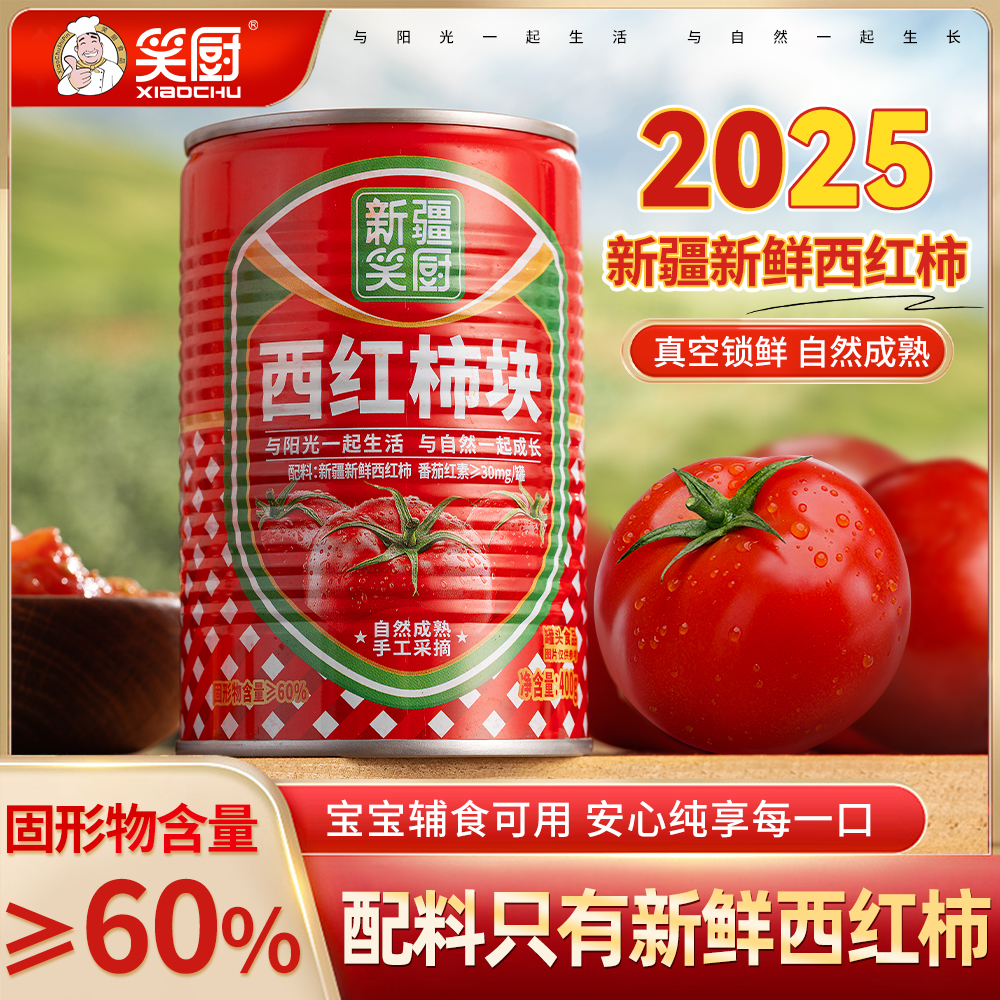 新疆番茄丁域上开心屯河冠农番茄