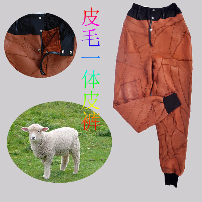 新款冬羊剪绒皮毛一体皮裤高腰真皮裤内胆男女羊皮裤保暖挡风棉裤|ruв категории Мужская одежда, шорты - от Buy2taobao.com для оказания профессиональной услуги покупки агента Taobao