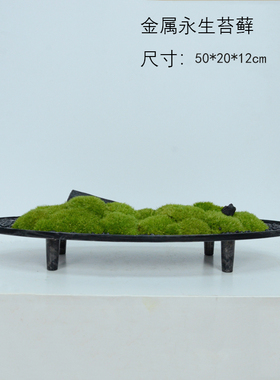 椭圆弧形长条形苔藓盆景