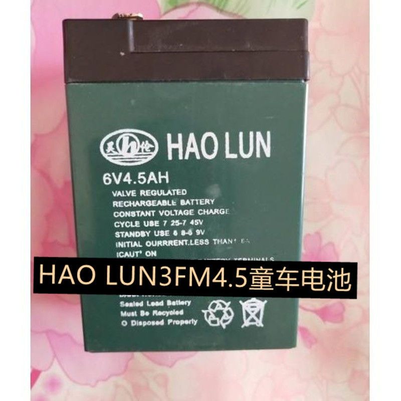 昊伦HAOLUN蓄电池6V4AH玩具车I童车小孩子车电动车用电瓶