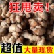 新鲜现挖正宗广东沙姜猪脚沙姜鸡蘸调味配料山奈砂姜商用特惠大个