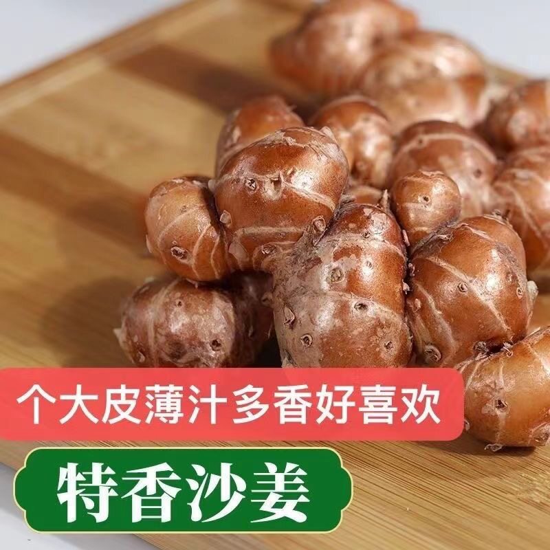 新鲜广东正宗沙姜砂姜新姜三艾三生姜/南姜