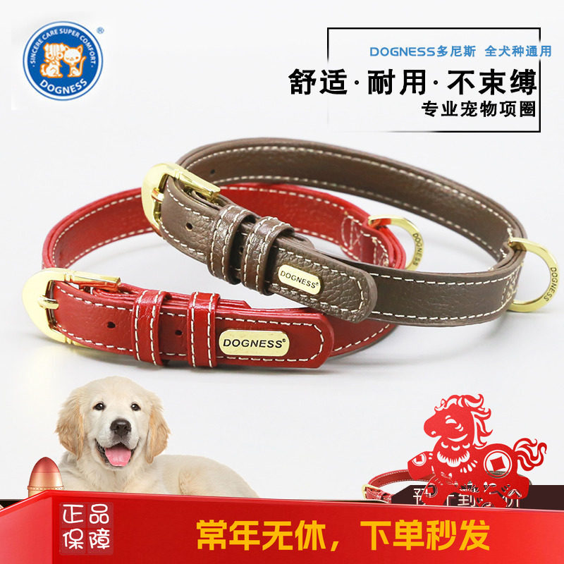 多尼斯项圈牵引绳脖圈颈圈狗狗图片