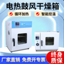电热恒温鼓风干燥箱实验室小型烘箱工业烤箱医用热风循环烘干箱