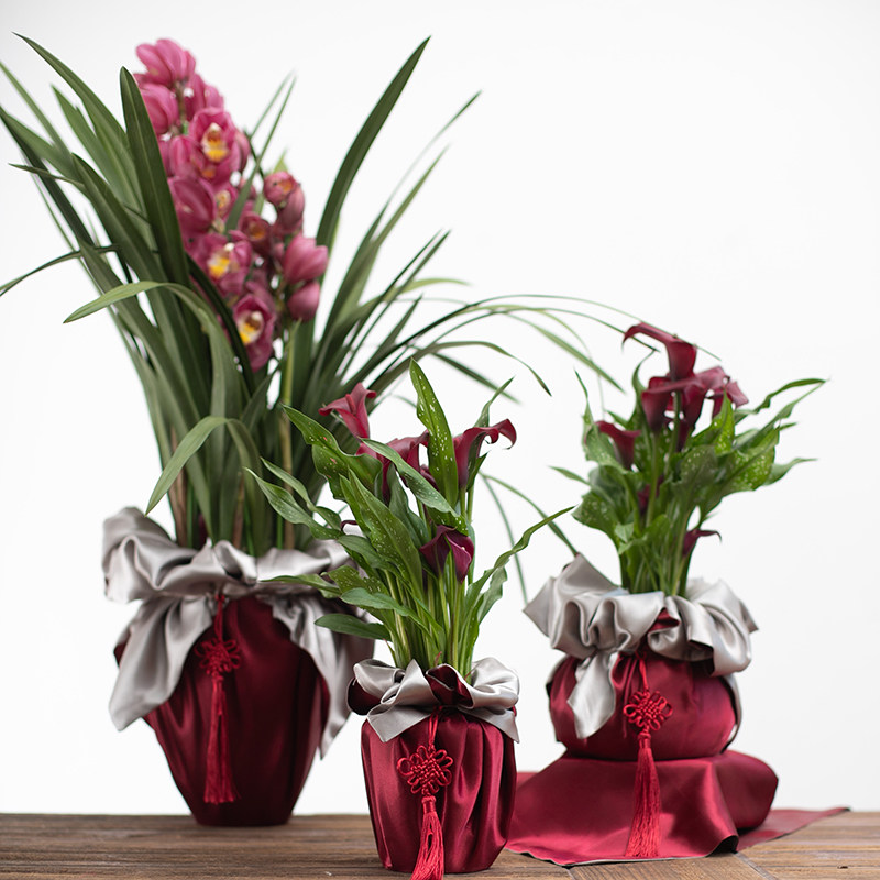 韩式花盆包布花盆布花盆礼品袋手提袋年宵花蝴蝶兰包布送礼包装,鲜花速递/花卉仿真/绿植园艺,花艺纱网/纺织布,淘宝优惠券,粉丝福利购,淘宝优惠卷
