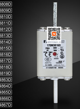 保险170M3808D 3809D 170M3810D 3811D 170M3812D 3813D熔断器