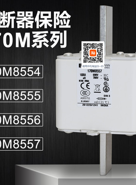 保险170M6892 170M8553 8554 170M8555 8550 170M8556 8557熔断器