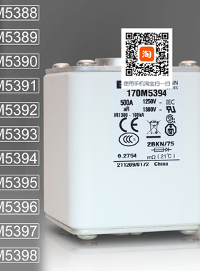 BUSSMANN保险170M5388 5389 170M5390 5391 170M5392 5393熔断器