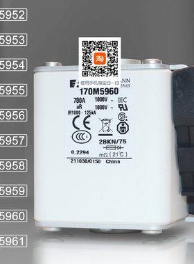 巴斯曼保险170M5952 170M5953 170M5954 170M5955 170M5956熔断器