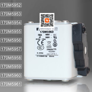 170M5955 170M5954 170M5956熔断器 170M5953 巴斯曼保险170M5952