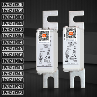 1317 1321 170M1318 170M1320 1322熔断器 1319 巴斯曼170M1316