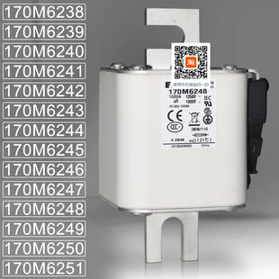 6239 170M6243 170M6240 6242 6244熔断器 6241 巴斯曼170M6238
