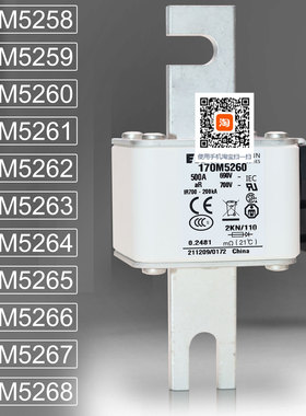 巴斯曼保险170M5258 170M5259 170M5260 170M5261 170M5262熔断器