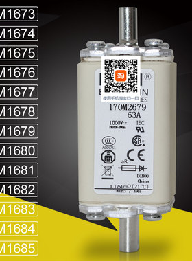 熔芯保险170M2673 2674 170M2675 2676 170M2677 2678熔断器