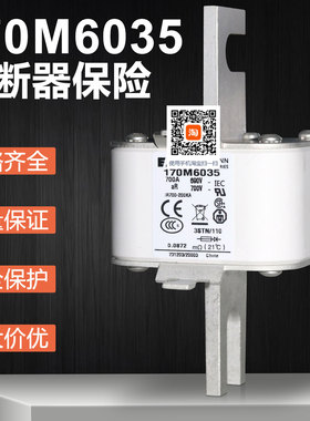 bussmann巴斯曼保险170M6032 170M6035 700A 690V快速熔断器