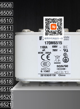保险170M6508 6509 170M6510 6511 170M6512 6513 170M6514熔断器