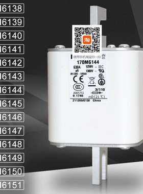 保险170M6138 6139 170M6140 6141 170M6142 6143 170M6144熔断器