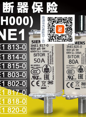 熔芯保险3NE1 813-0 802-0 817-0 818-0 820-0熔断器