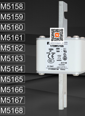 巴斯曼保险170M5164 170M5165 170M5166 170M5167 170M5168熔断器
