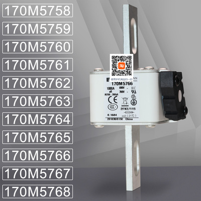 巴斯曼170M5764170M5765熔断器