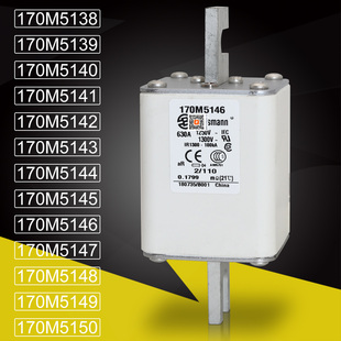 BUSSMANN保险170M5145 5146 170M5147 5148 170M5149 5150熔断器