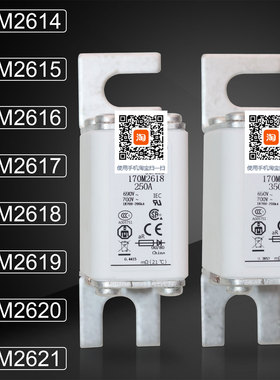 熔芯保险170M2608 2609 2610 2611 170M2612 2613 2614熔断器