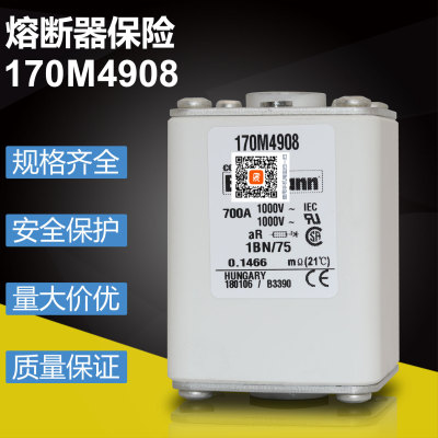 巴斯曼170M4908700A快速熔断器
