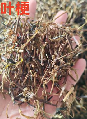 散装茶叶梗500g沙县小吃店配料