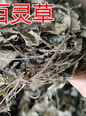 散装配料农产品包邮百灵草