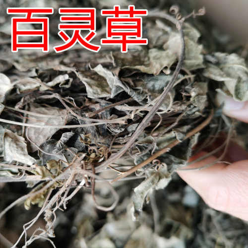 散装配料农产品包邮百灵草