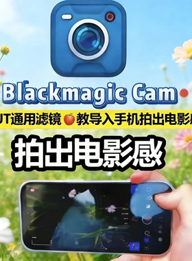 BlackmagicCamera LUT苹果手机套装调色影视预设滤镜飓风AppleLog