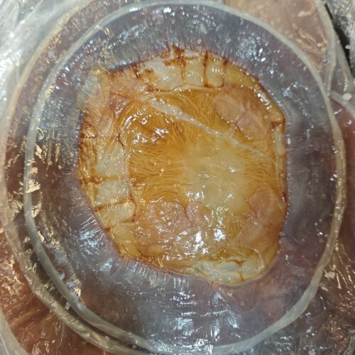 红太阳海蜇皮桶装干货海蜇非特级海蛰丝凉拌下酒菜商用食用农产品