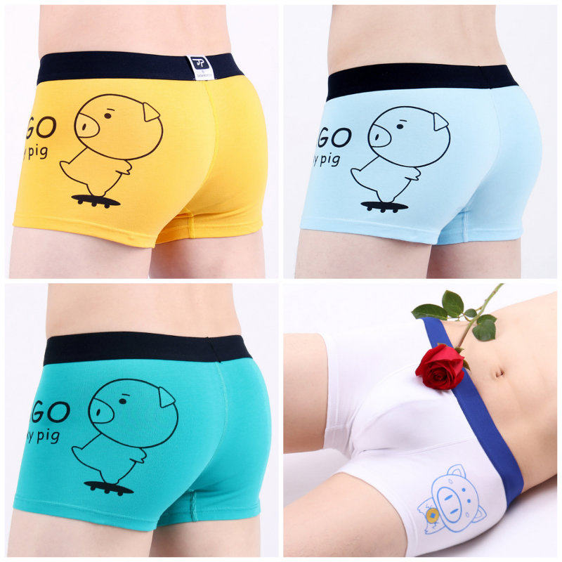 卡通猪纯棉男士可爱好看猪猪