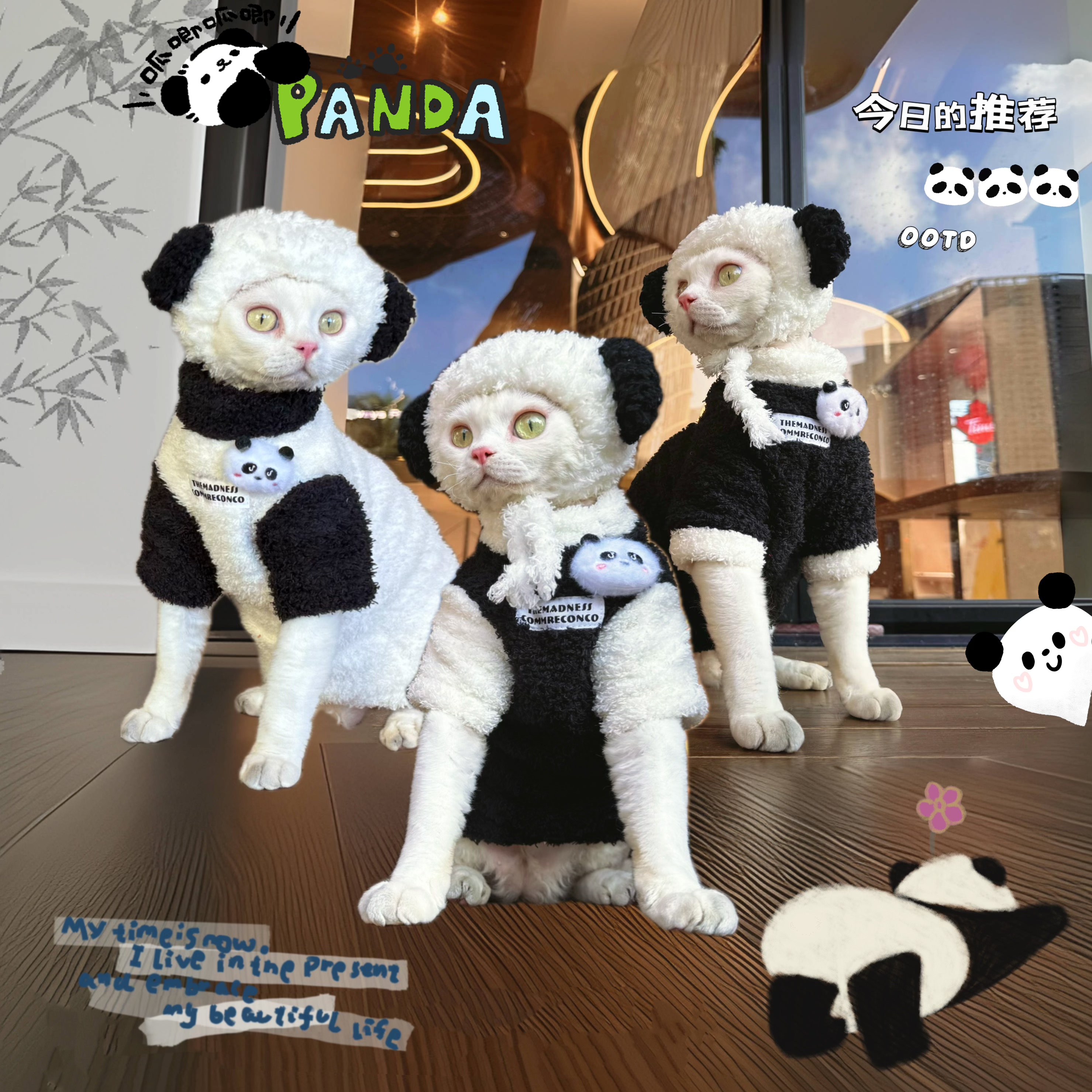 Y·H 熊猫panda 冬天加厚保暖软绵绵毛绒 无毛猫衣服德文 永禾