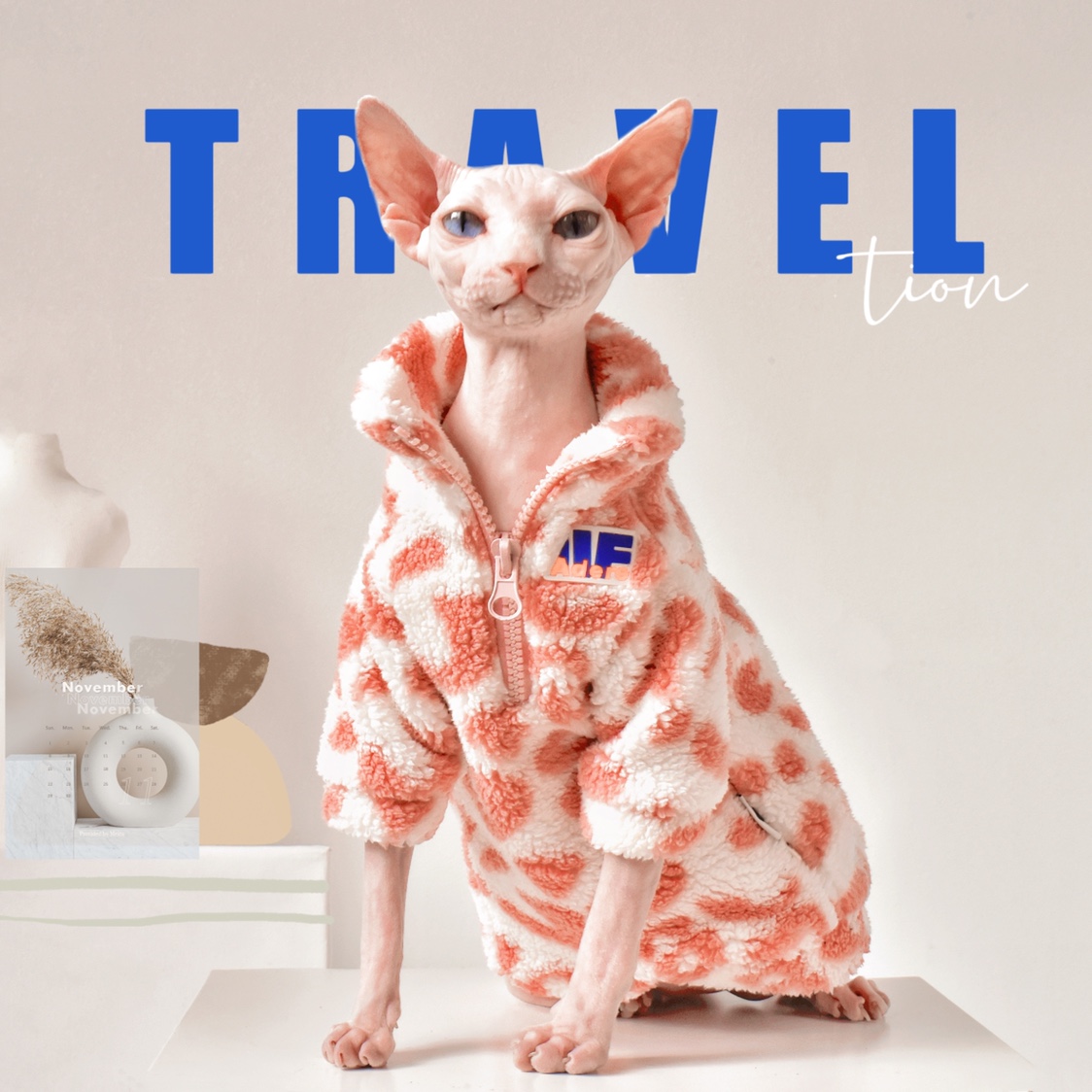 Y·H 潮人穿搭 开襟拉链运动卫衣斯芬克斯无毛猫衣服冬天加厚保暖