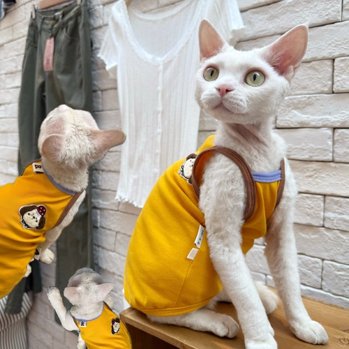 Y·H 童趣小狗！元气撞色吊带 夏季薄款 斯芬克斯无毛猫衣服德文