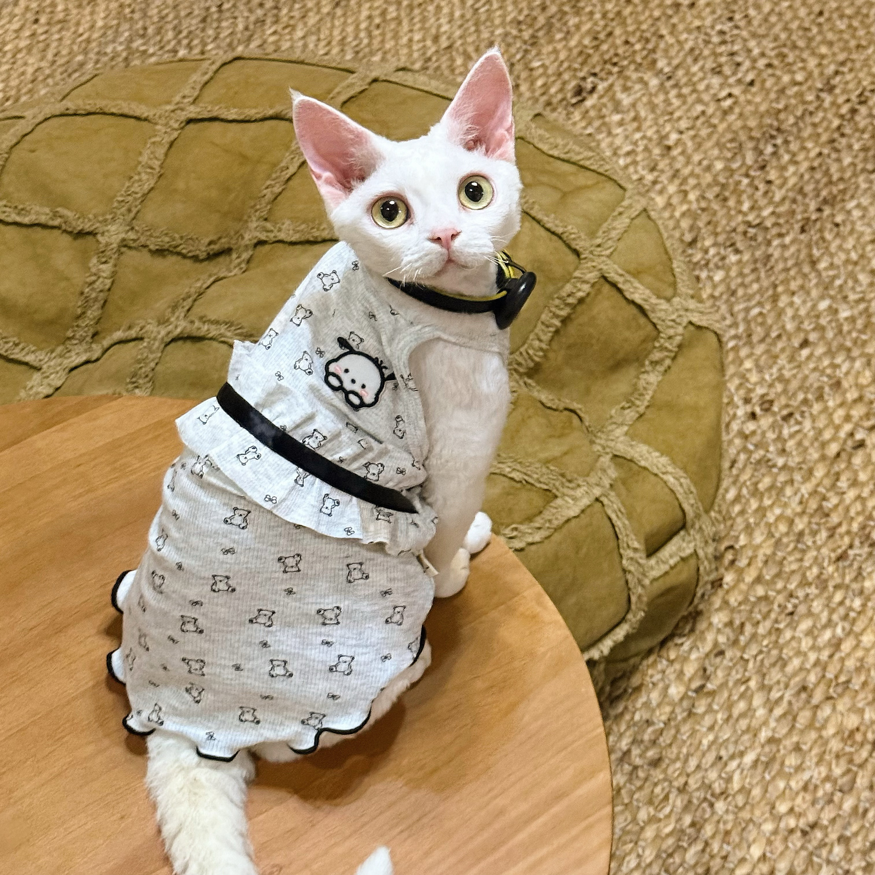 Y·H  捉到哈基米！夏季薄吊带 斯芬克斯无毛猫衣服德文