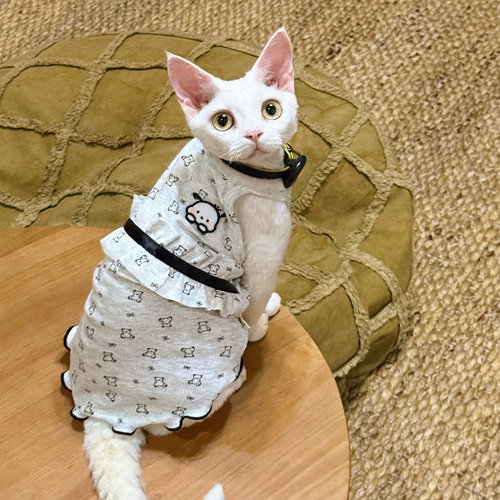 Y·H  捉到哈基米！夏季薄吊带 斯芬克斯无毛猫衣服德文