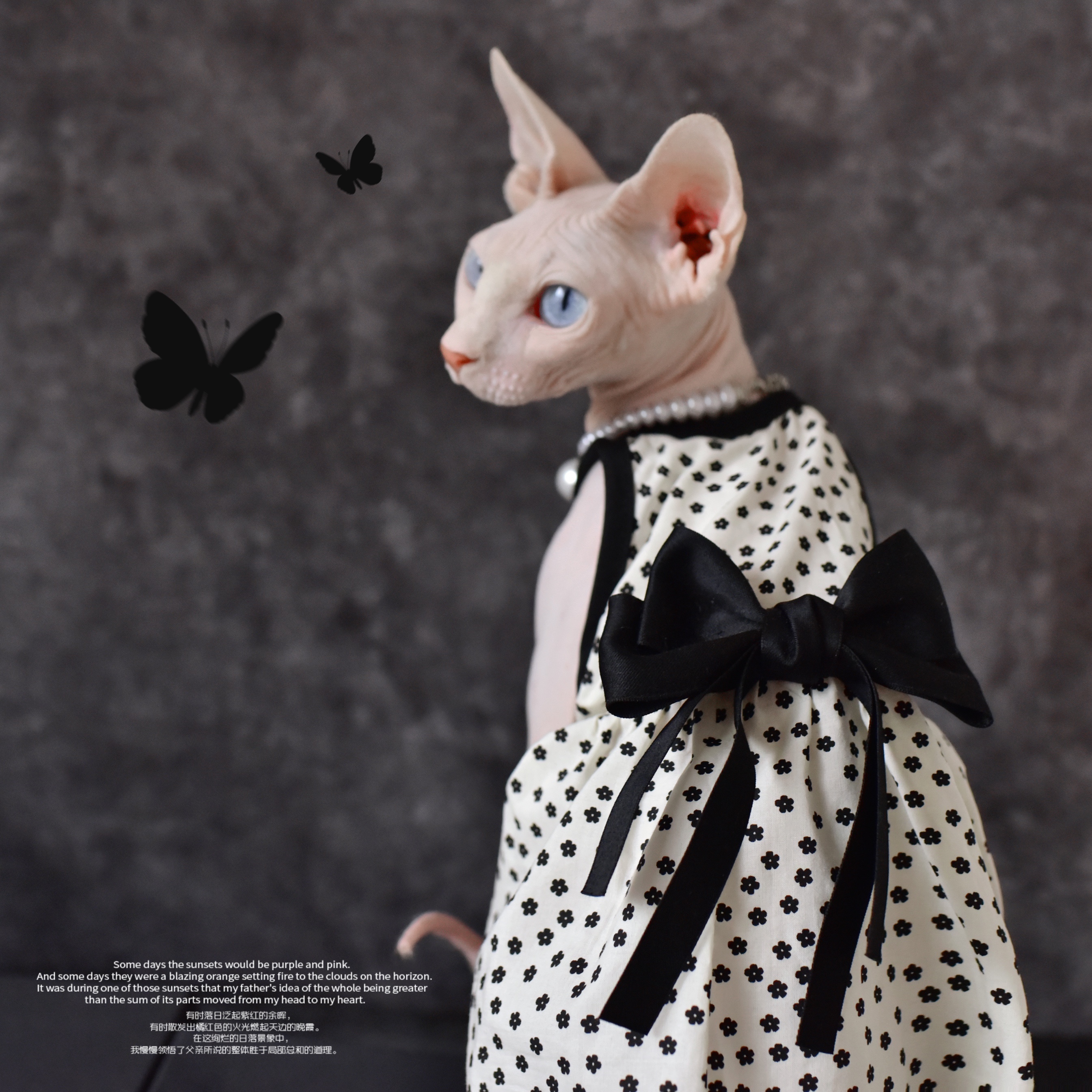 不败经典提花小黑吊带裙