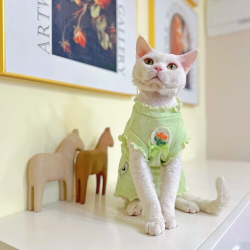 Y·H 夏日小清新  网眼透气夏天薄款无袖斯芬克斯无毛猫衣服德文