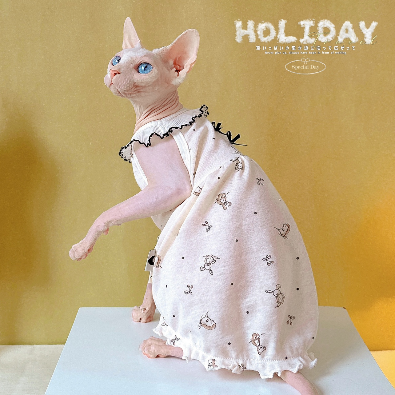 吊带裙无毛猫衣服永禾棉裙