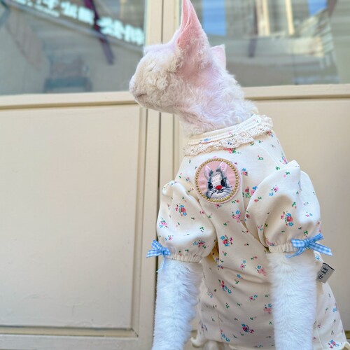 Y·H 『花花奶兔』法式泡泡小碎花  斯芬克斯无毛猫衣服冬天德文