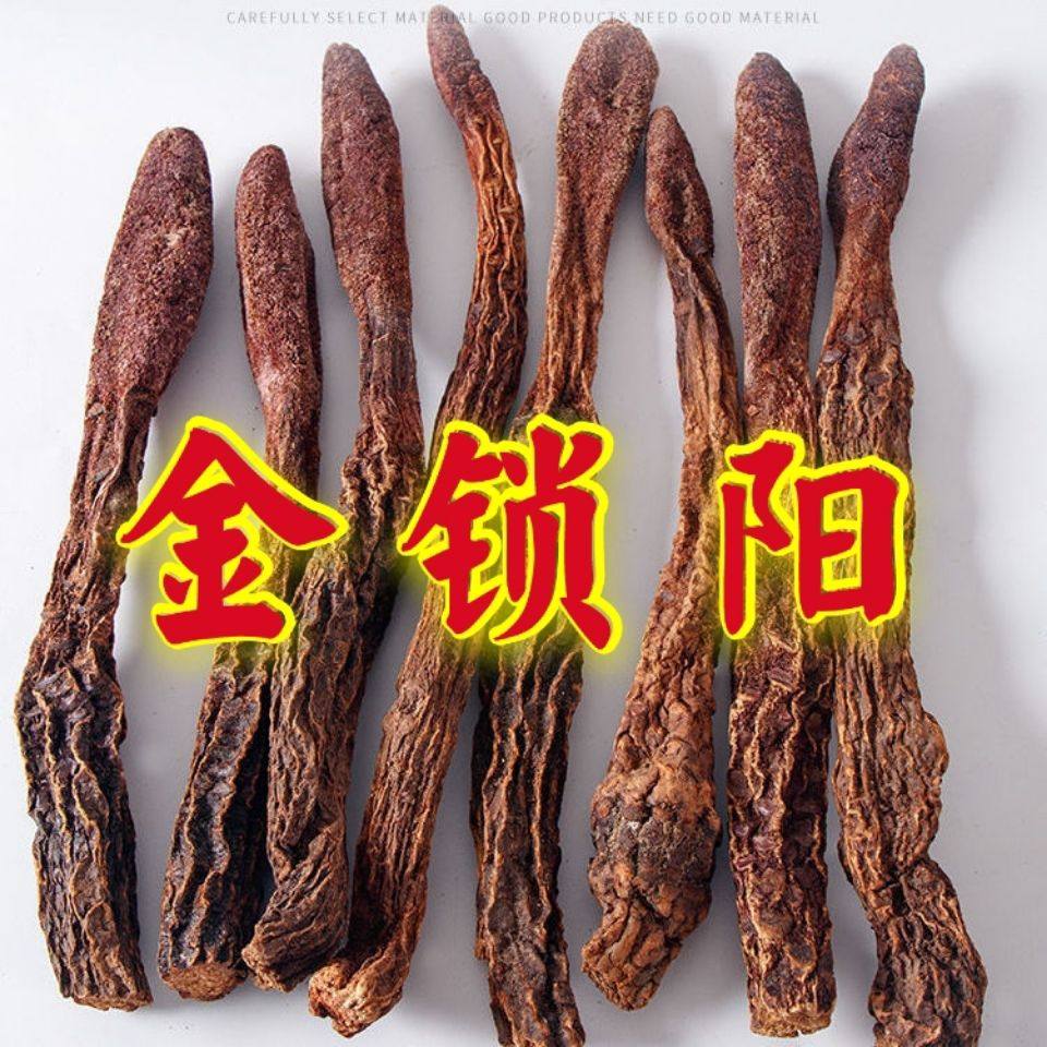 【金锁阳】阿拉善野外锁阳整个正宗锁阳泡茶泡酒料沙漠锁阳切片