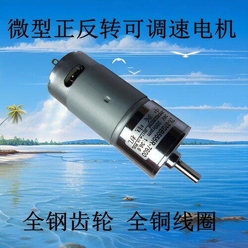37GB555直流正反转可调速小电机