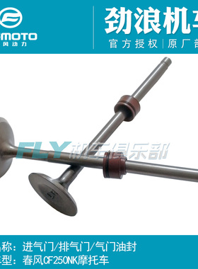 CFMOTO春风原厂配件250NK/SR/CLX/CLC进气门/排气门/气门油封