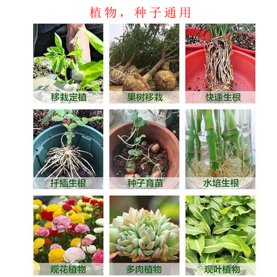 菜园盆栽专用时效蔬菜植物养花叶面肥料复合肥有机肥通用型20克袋