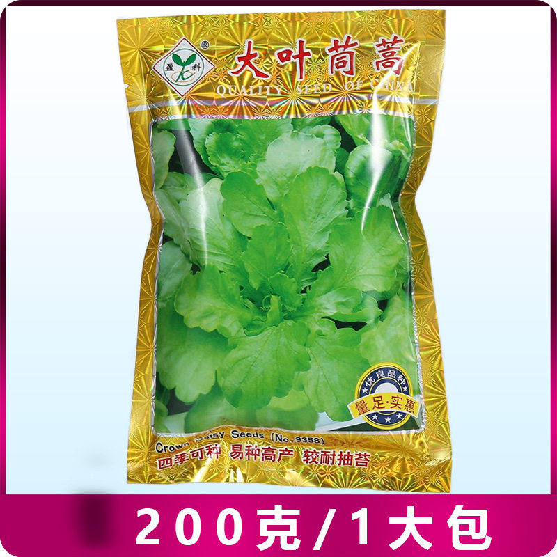四季大叶茼蒿菜种子青菜种大全春秋冬季耐热抗寒蔬菜种籽200克